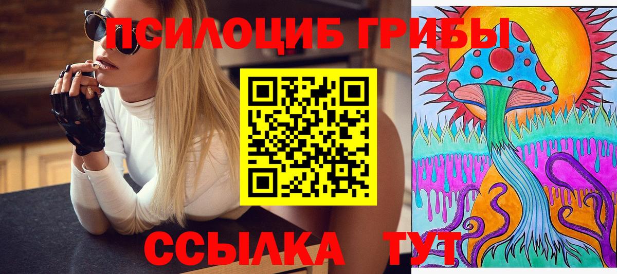 Псилоцибиновые грибы прущие грибы Анапа